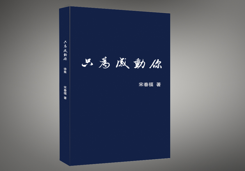 诗集《只为感动你》