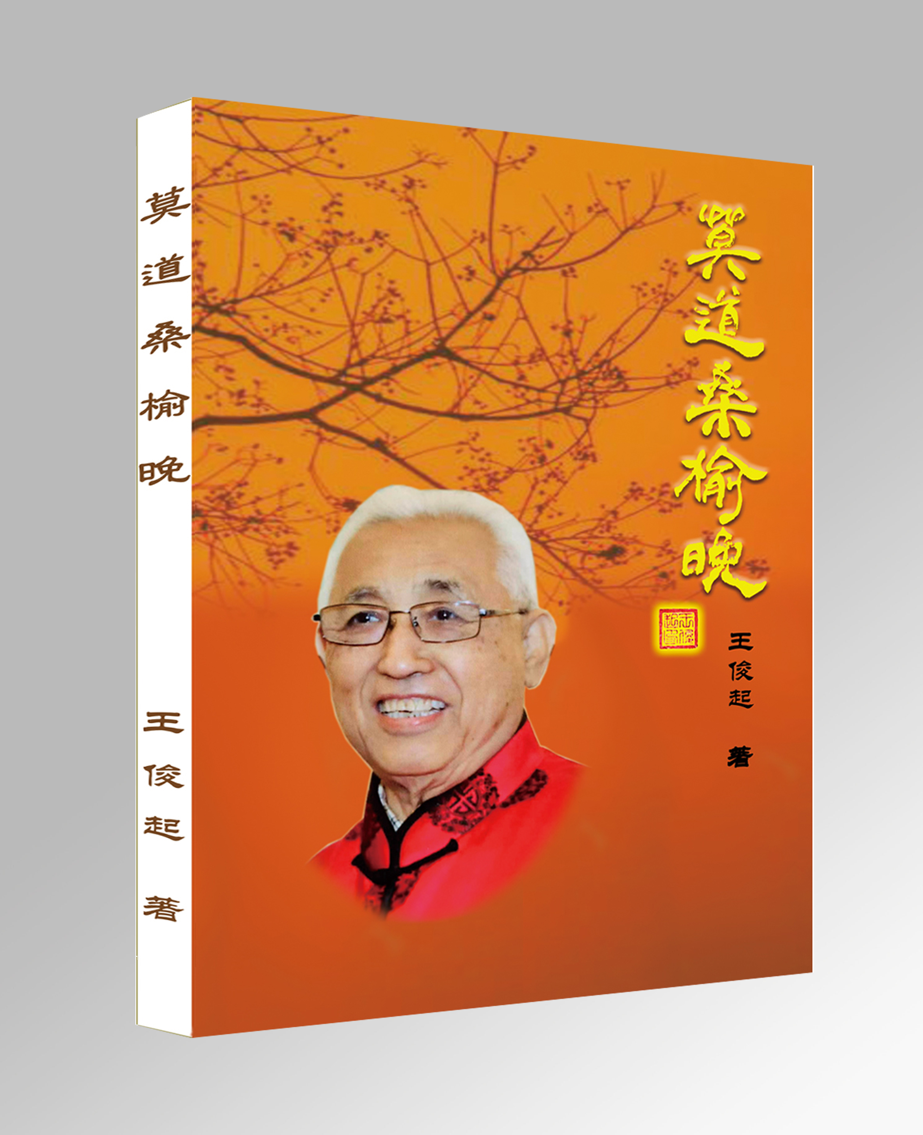 王俊起竖着.jpg